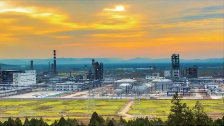 國內園區管理模式及如何提升園區服務專業性？